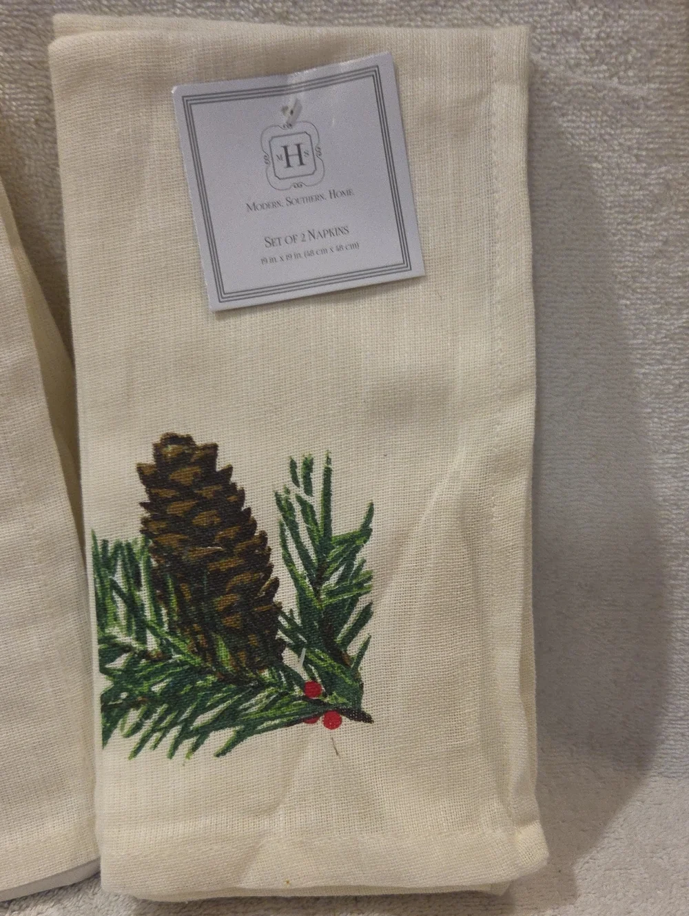 MODERN SOUTHERN HOME NAPKINS